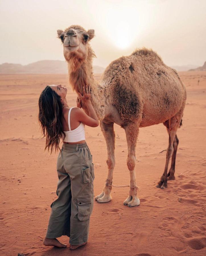 Sun Luxury Camp &Tour Leilighet Wadi Rum Eksteriør bilde