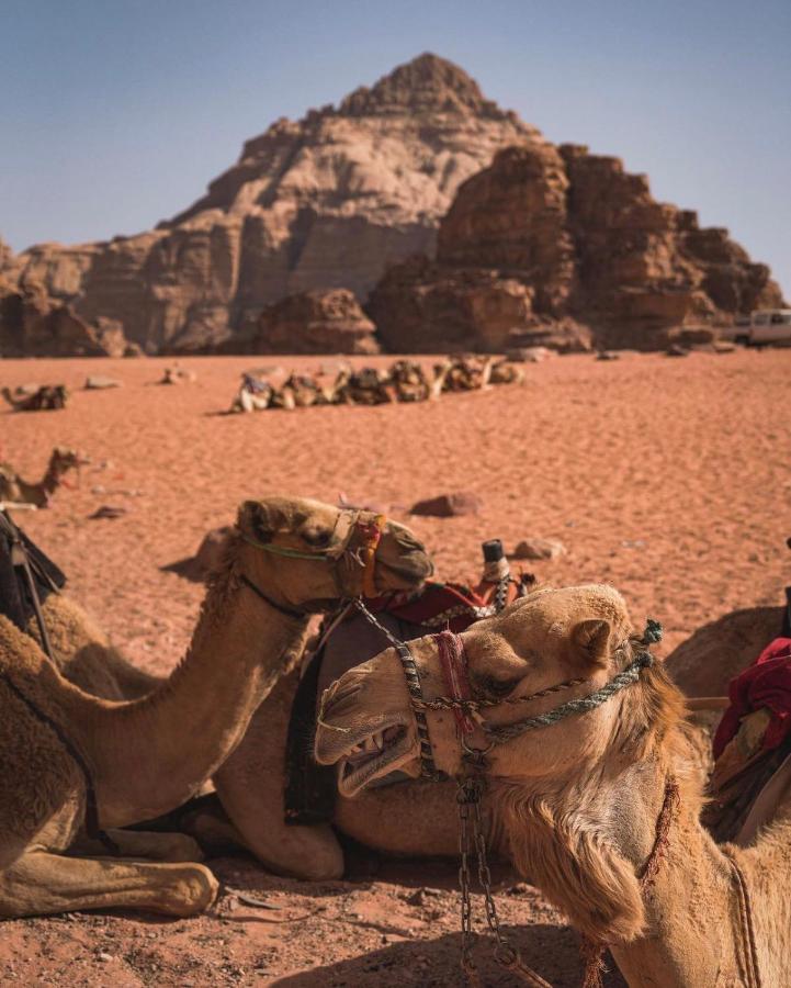Sun Luxury Camp &Tour Leilighet Wadi Rum Eksteriør bilde